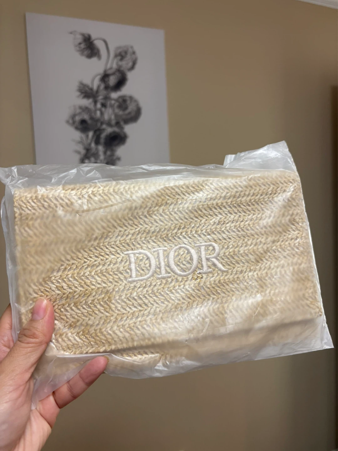 Dior cosmetics bag