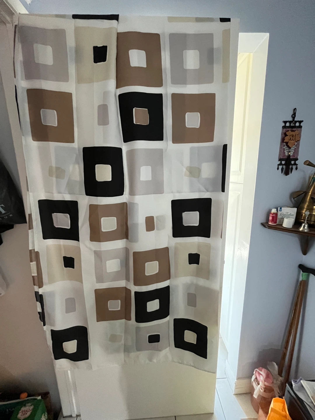 Shower Curtain with matching Hooks