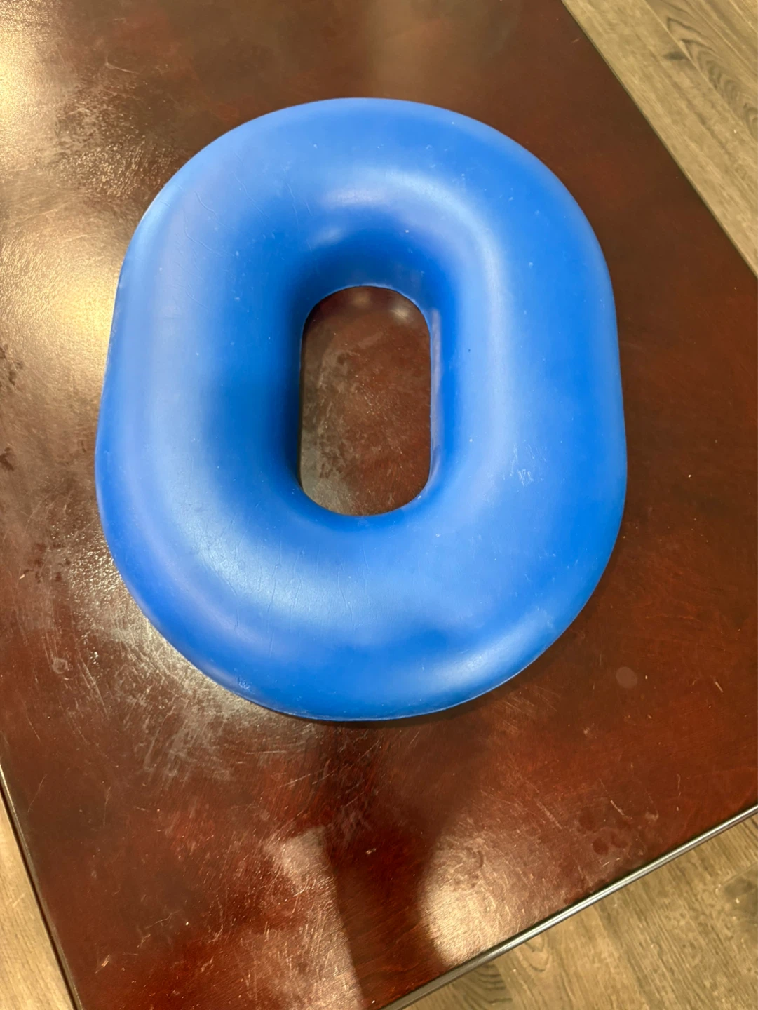 Blue Ring Cushion