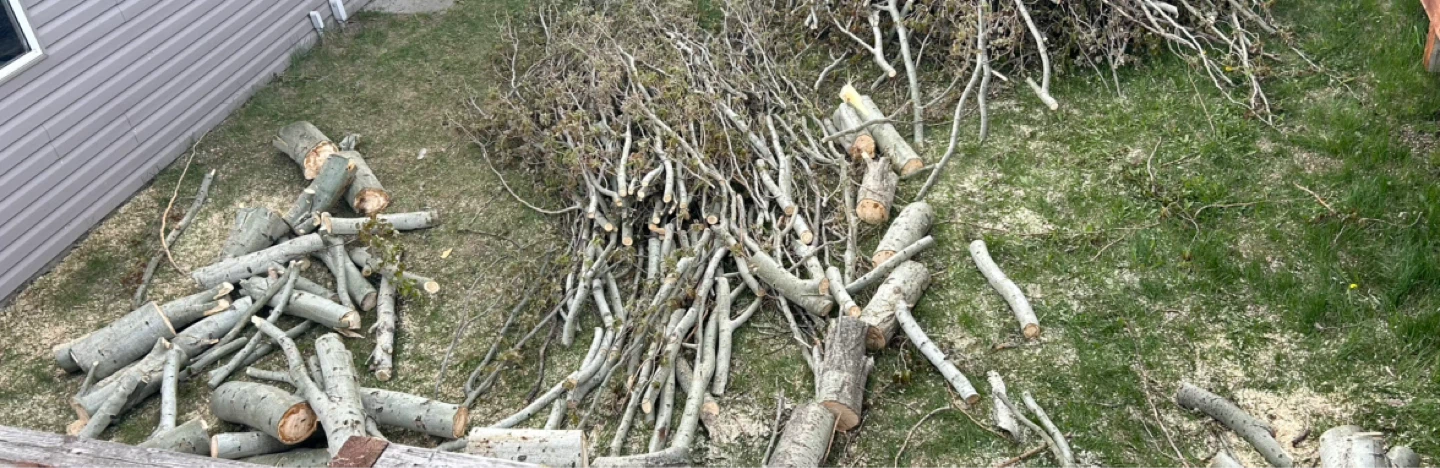 Mixed Hardwood Firewood Logs