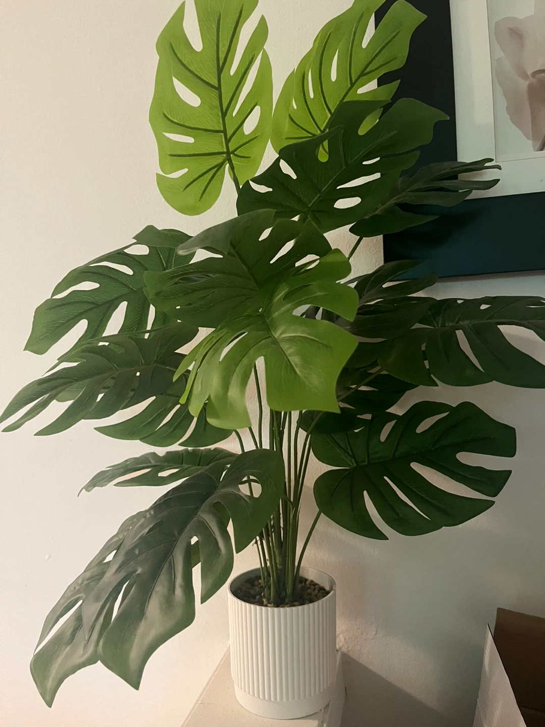 Artificial Monstera Plant in White Ribbed Pot