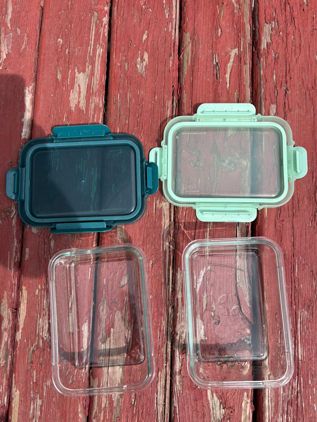 Set of 2 Glass Food Storage Containers with Lids