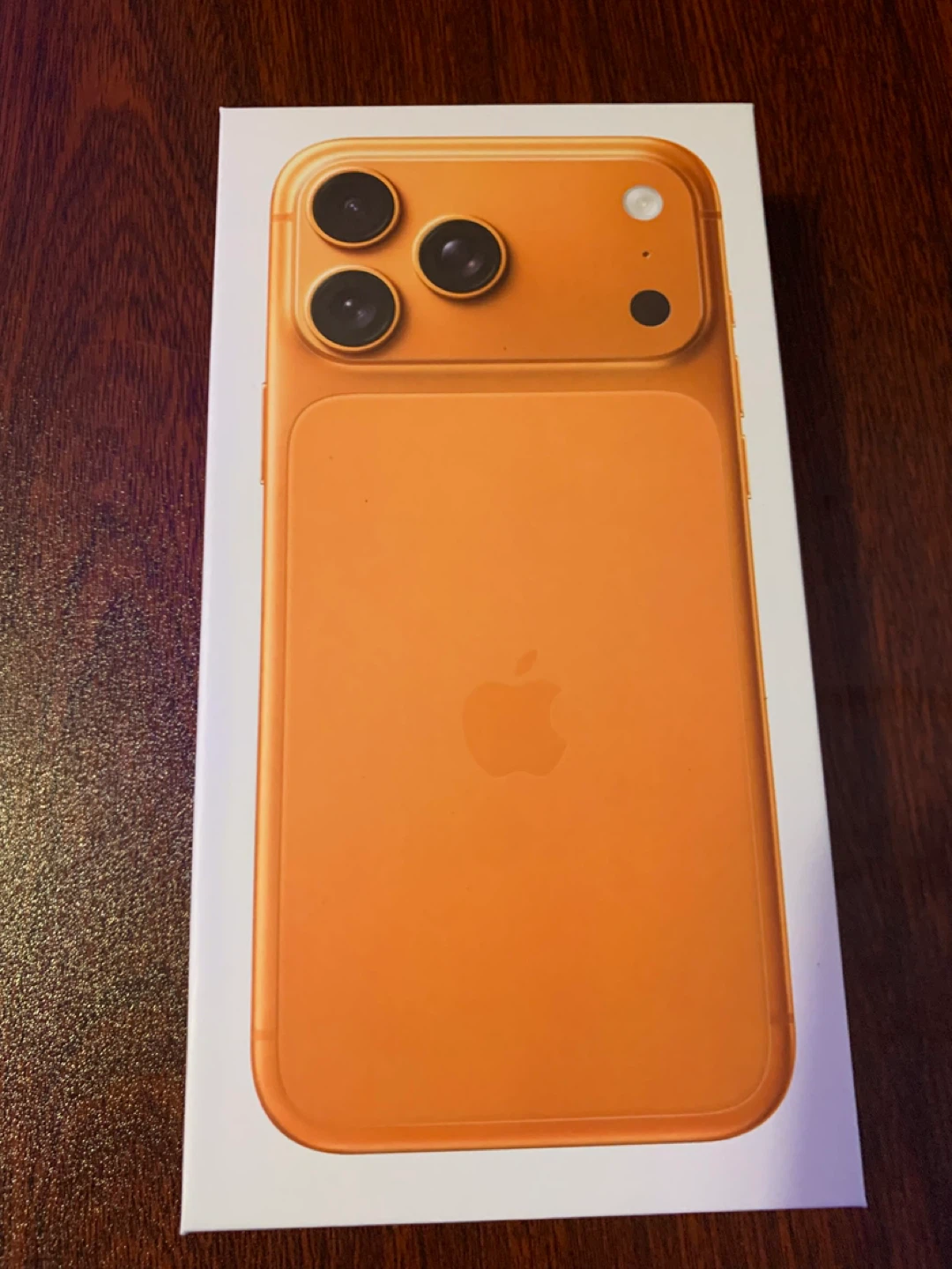 iPhone 17 Pro Max