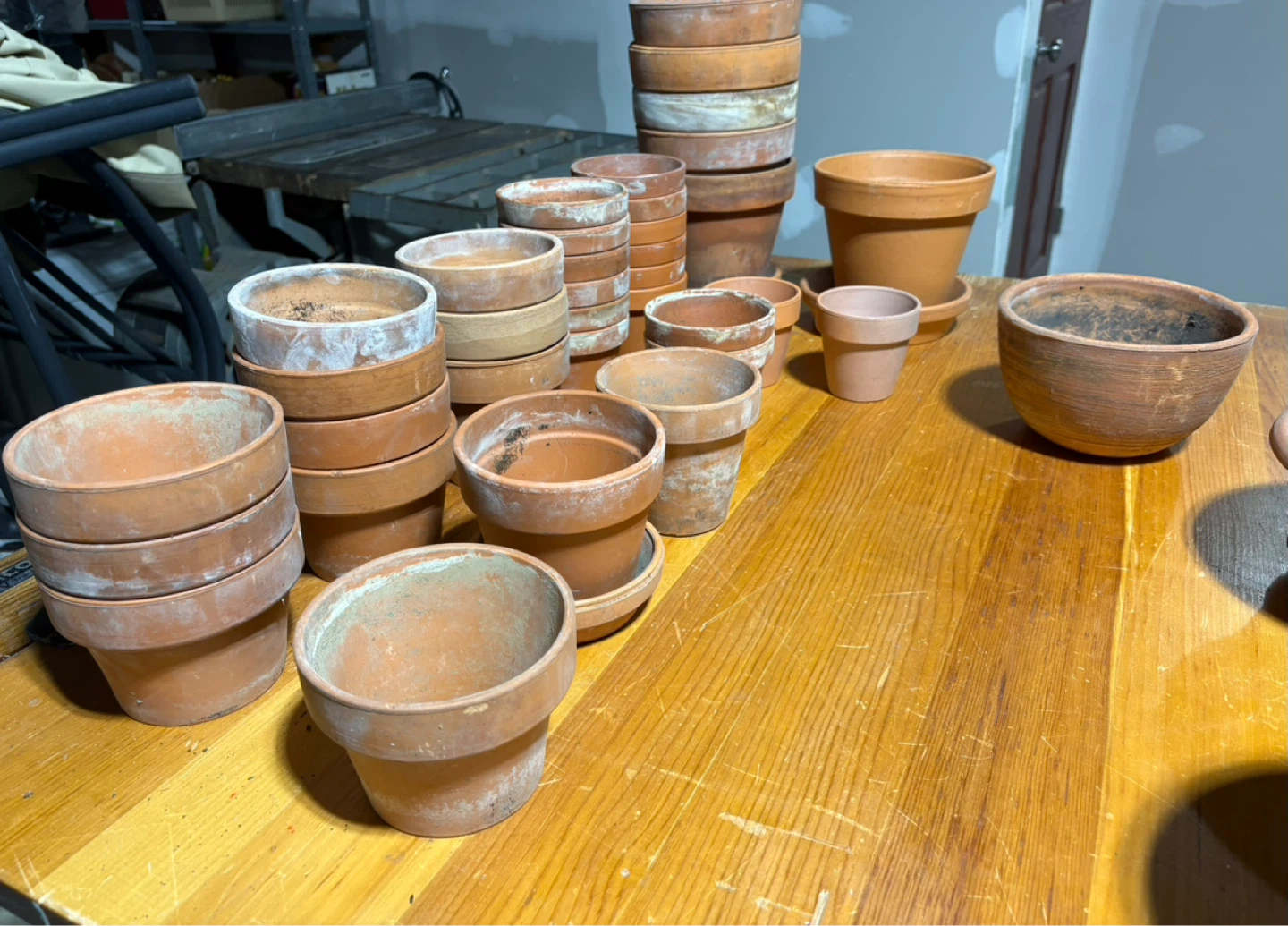 Assorted Terracotta and Plastic Planters