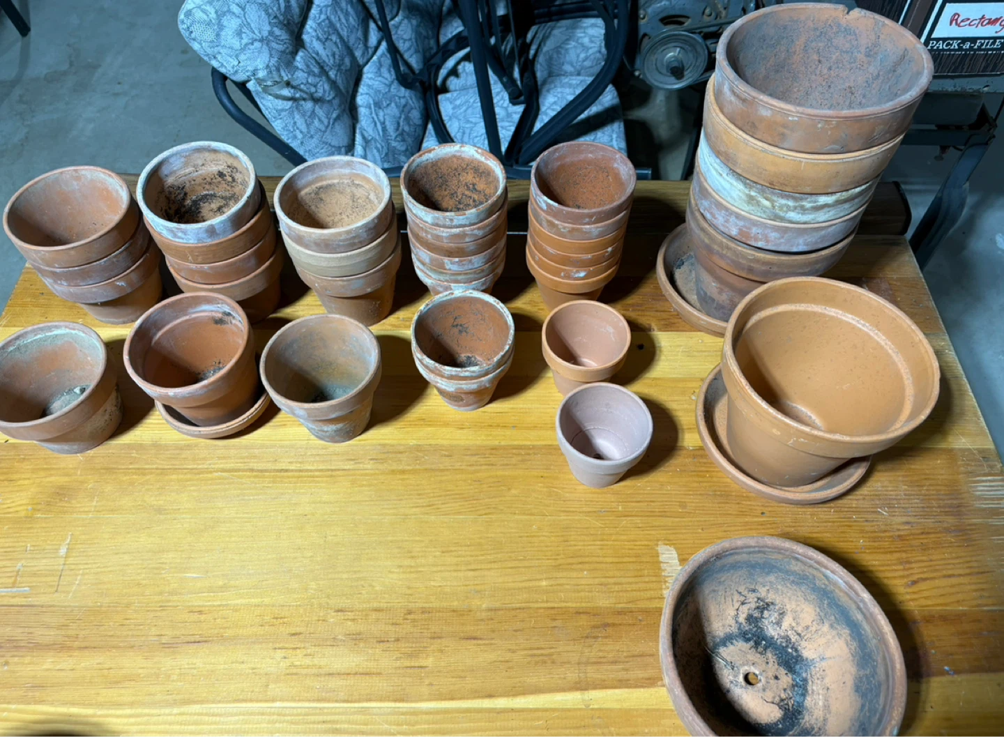 Assorted Terracotta and Plastic Planters - photo 2