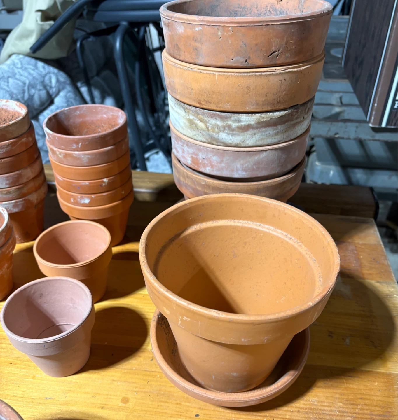 Assorted Terracotta and Plastic Planters - photo 3