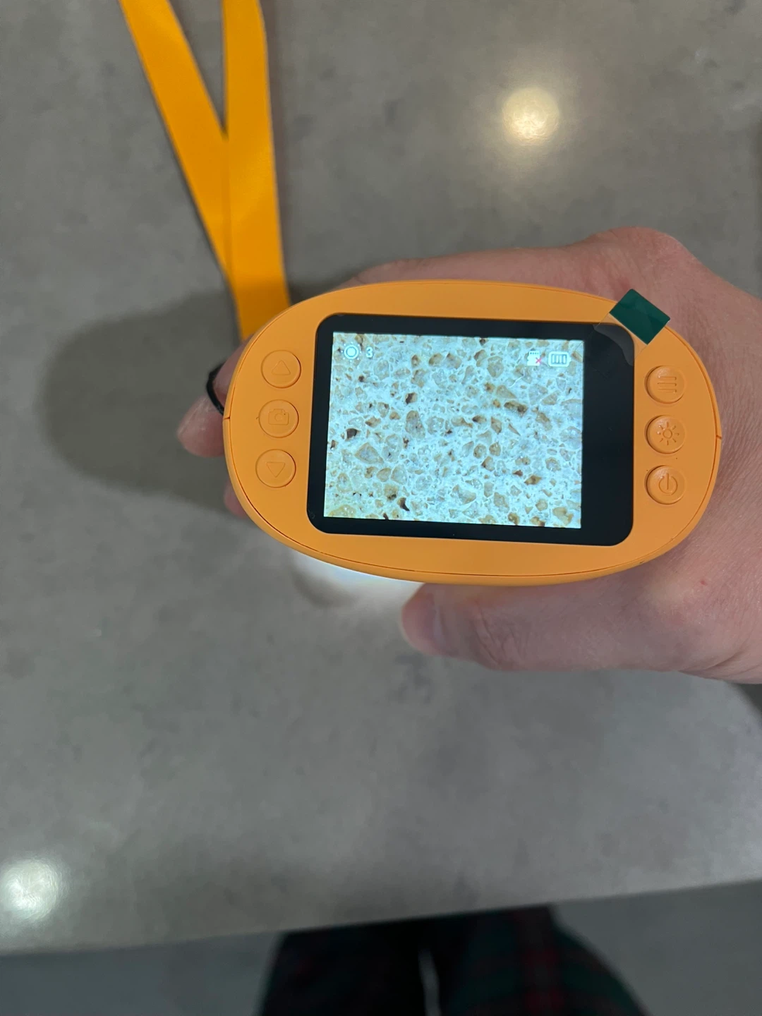 🔬 Your Kids Will NEVER Look at Nature the Same Way Again! 👀 - photo 2