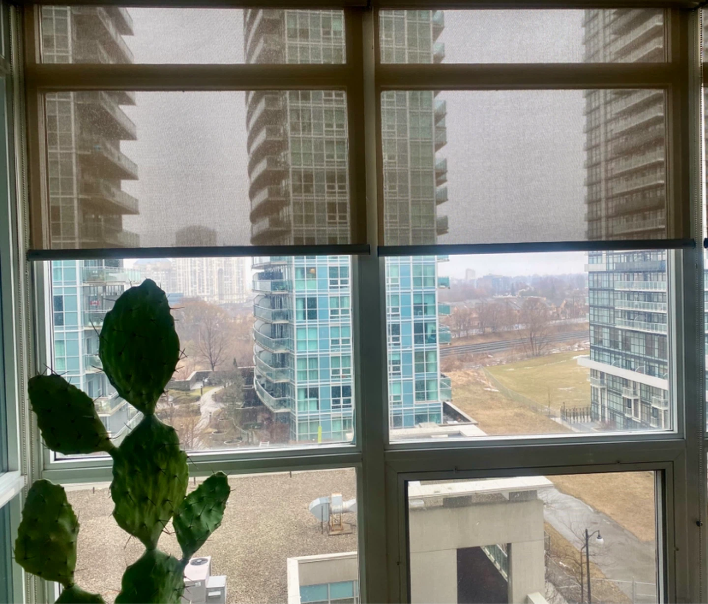 Quality Window Roller Shades with Valance and Chain Mechanism