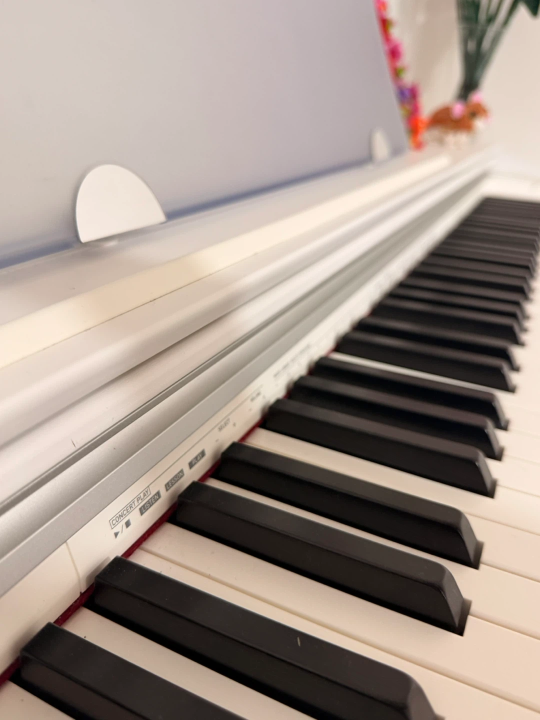 Casio Digital Piano - photo 5