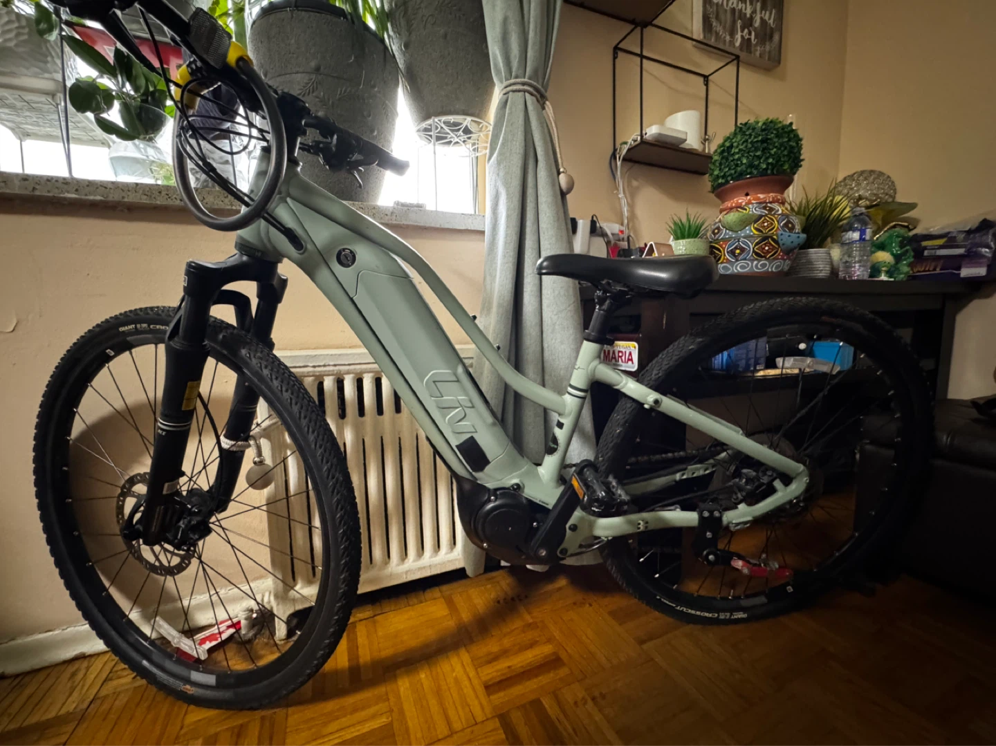 Liv E-Bike