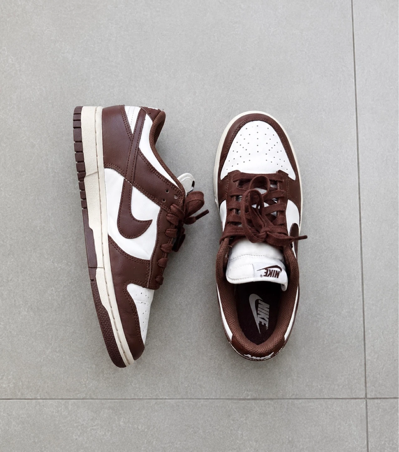 Nike Brown Dunk Lows