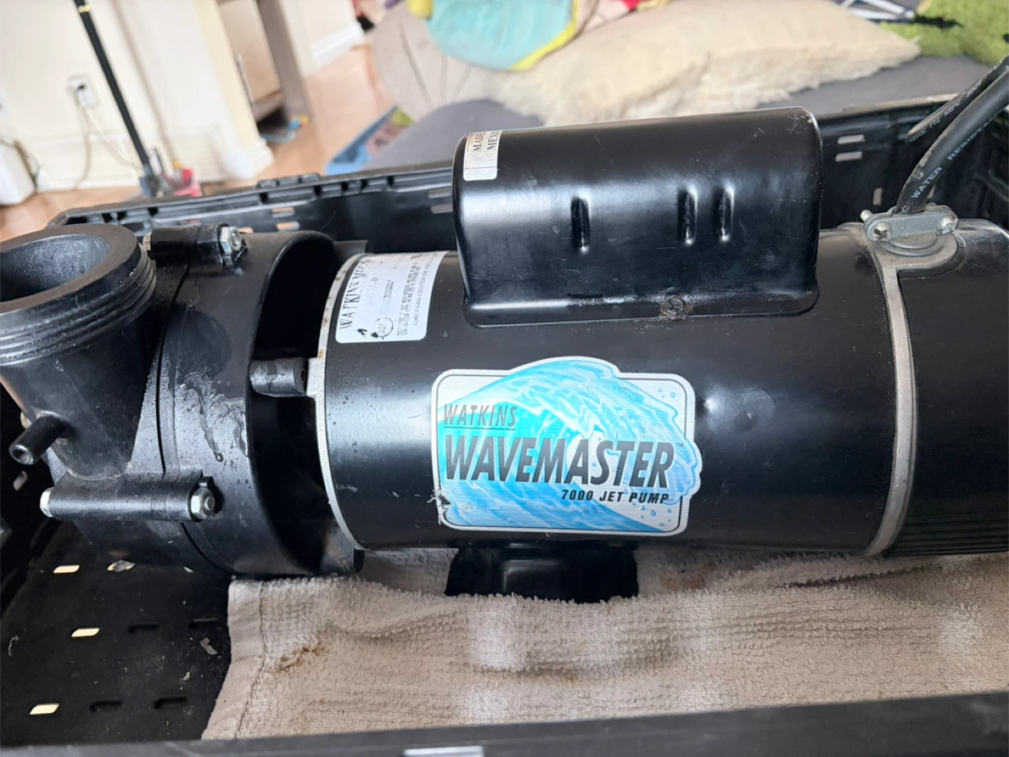 Hot tub motor - photo 3