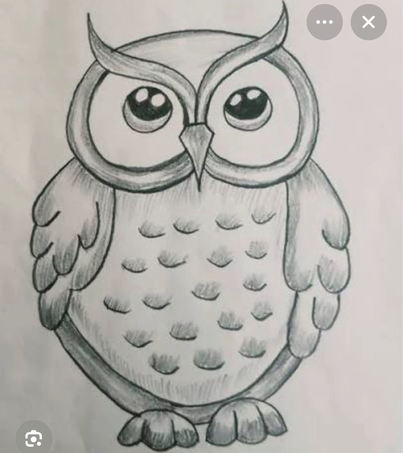 Hand-drawn Owl Sketch