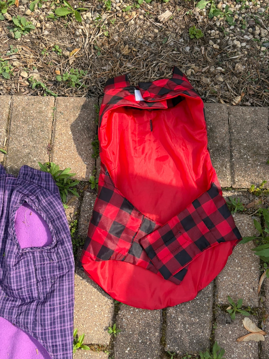 Red and Black Buffalo Plaid Dog Coat