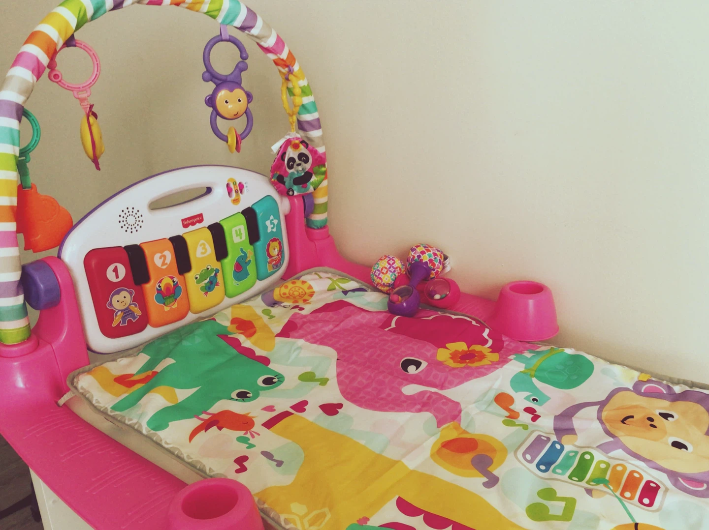 Fisher-Price Baby Play Gym with Piano