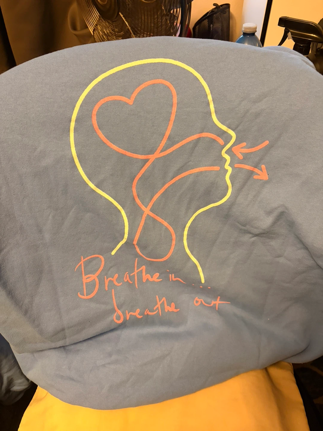 Rachel Platten hoodie - photo 2
