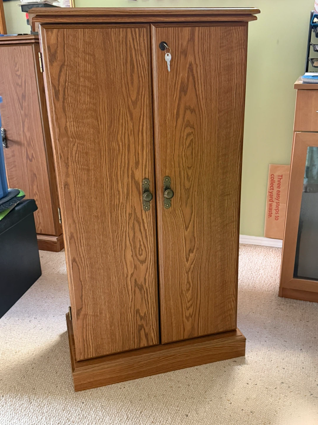 Wooden Storage Cabinet with Doors