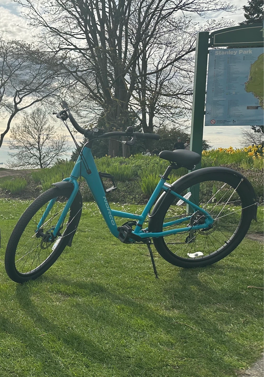 Norco City Glide Bicycle - Teal