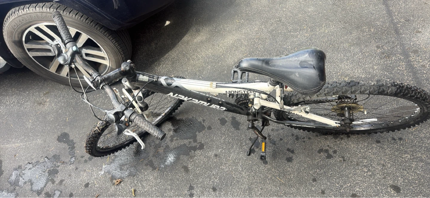 Nakamura Monster Bike - photo 4