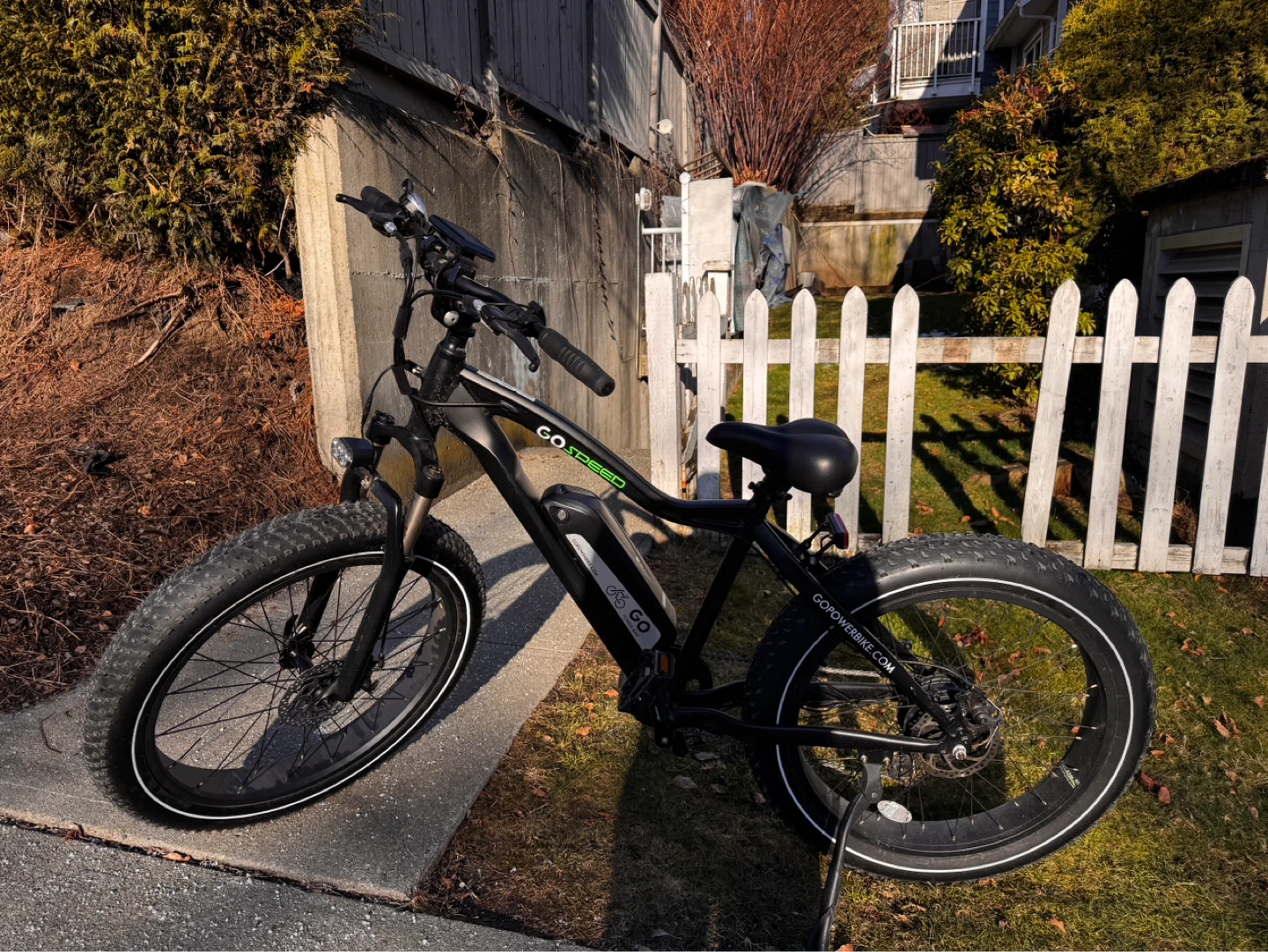 GoPower GoSpeed Electric Bike