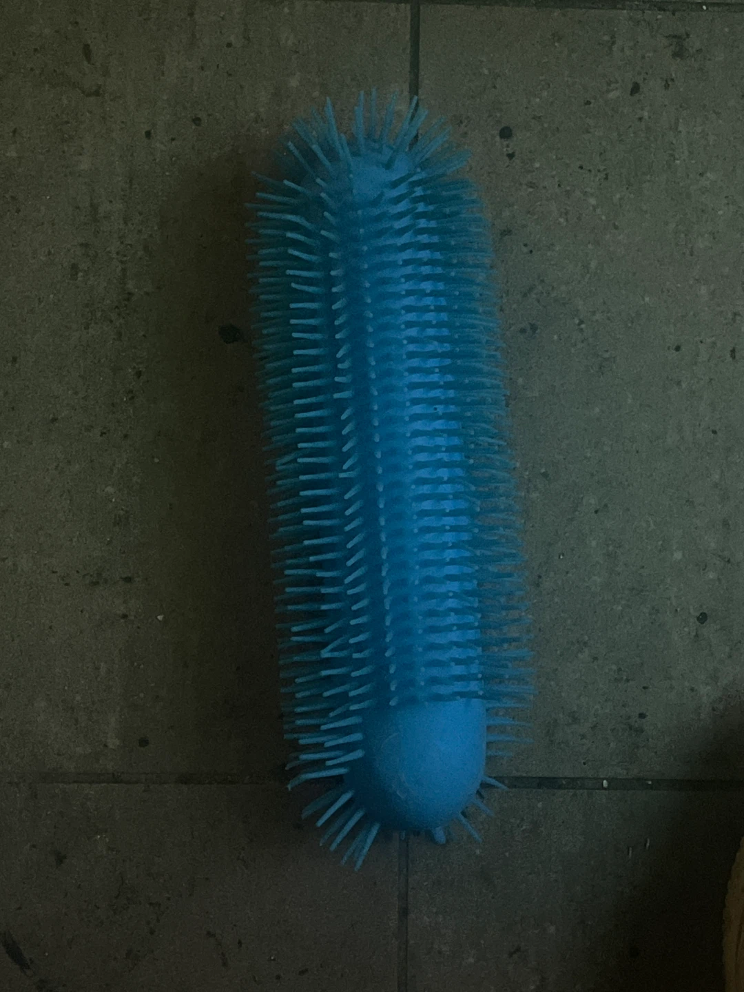 Blue Spiky Grooming Brush