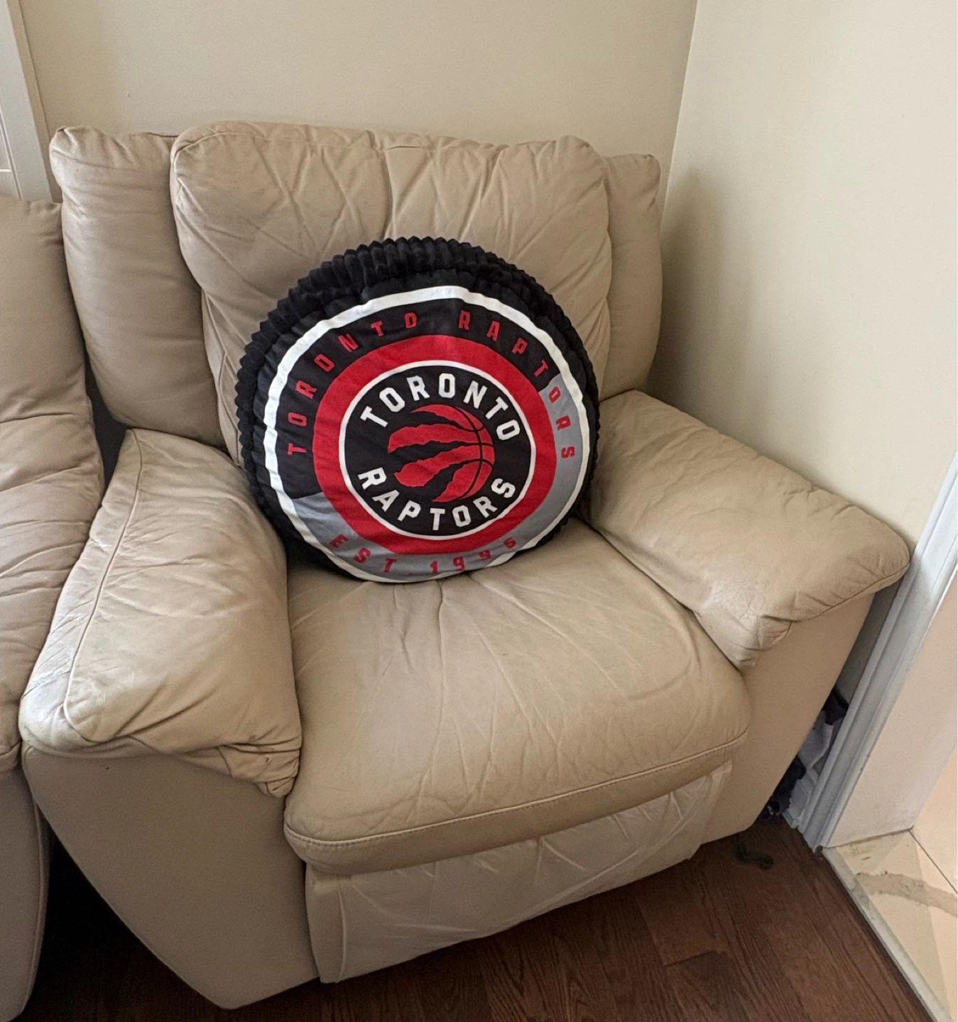 Toronto Raptors Round Logo Pillow