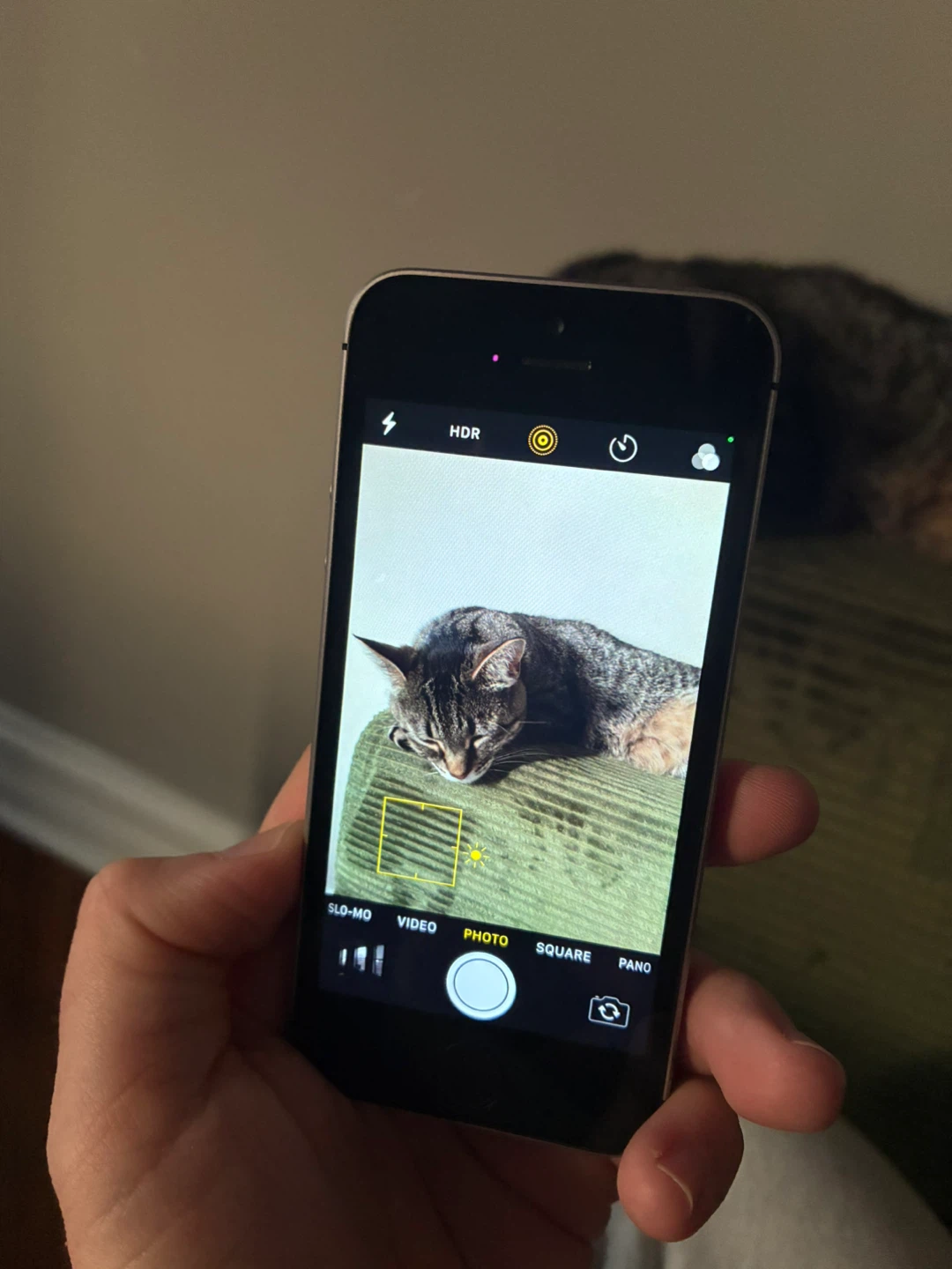 Apple iPhone SE (2nd Gen) - photo 5