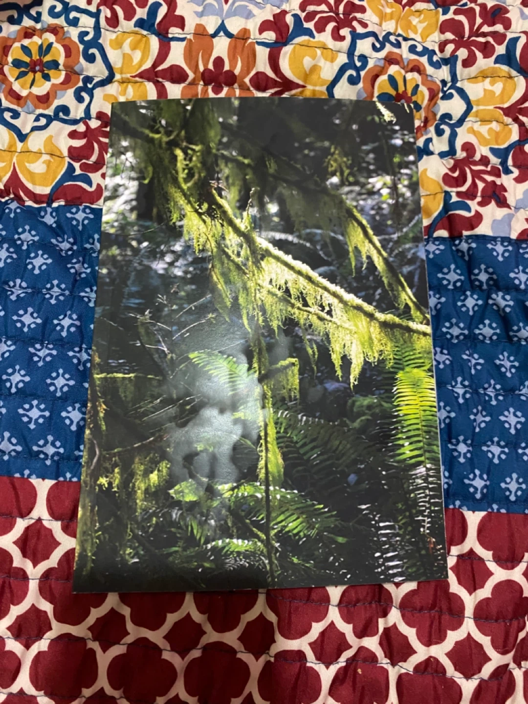 Forest themed notebook