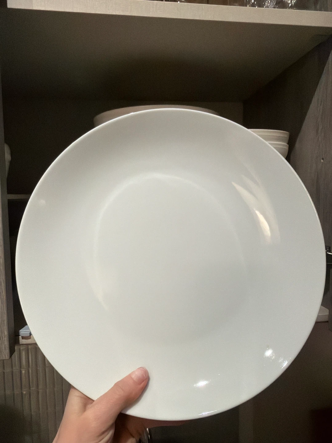 8 White Dinner Plates