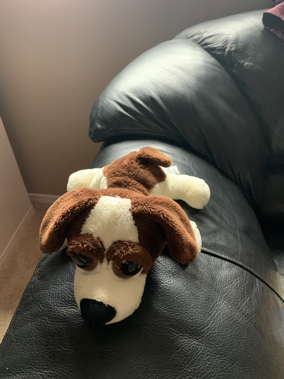 Plush Stuffed Dog Toy