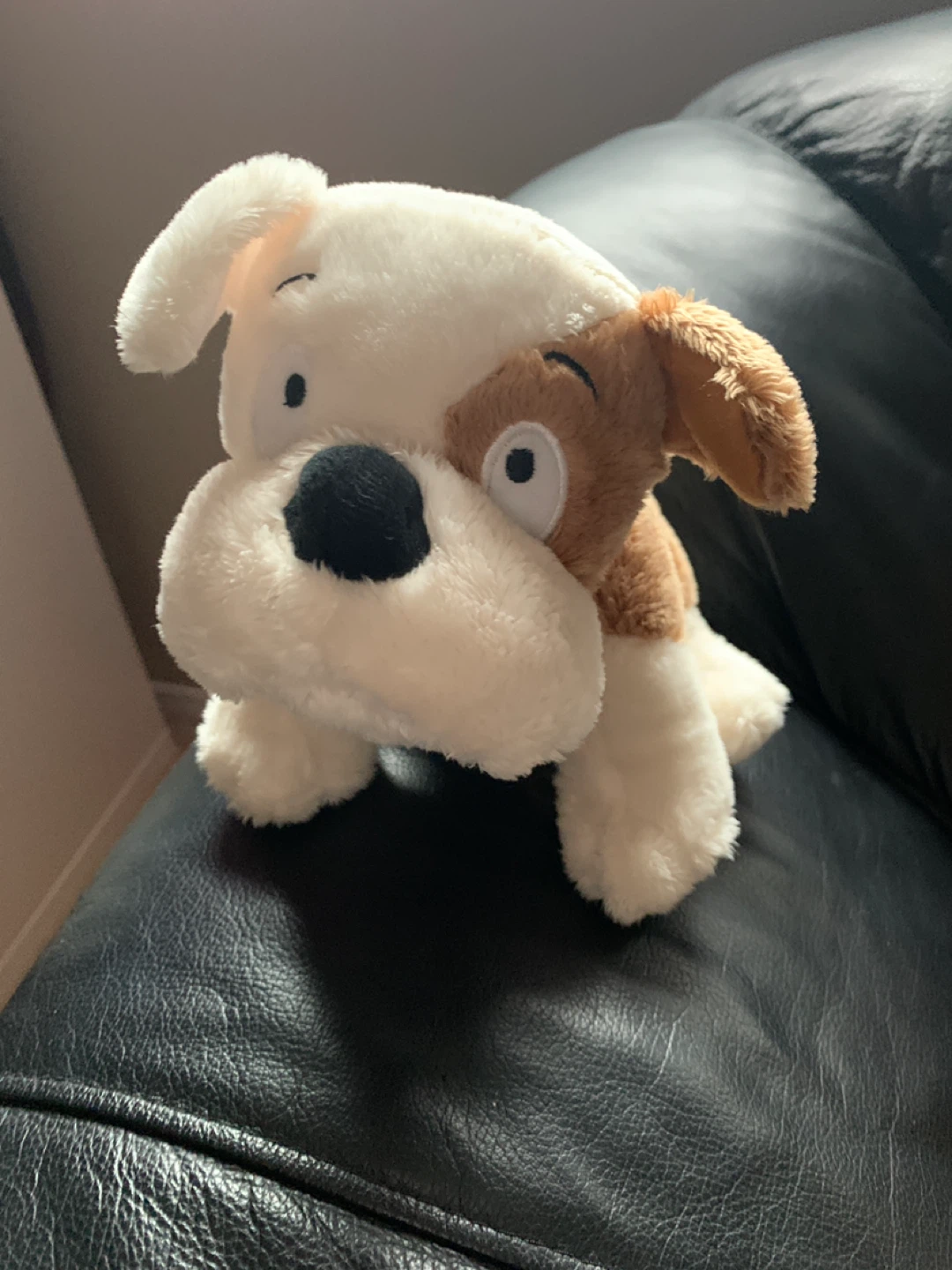 Plush Dog Toy