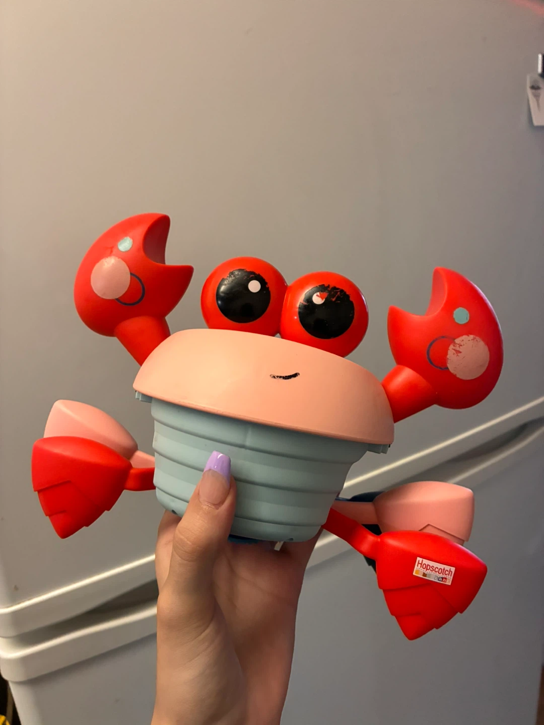 Musical Crawling Crab Toy