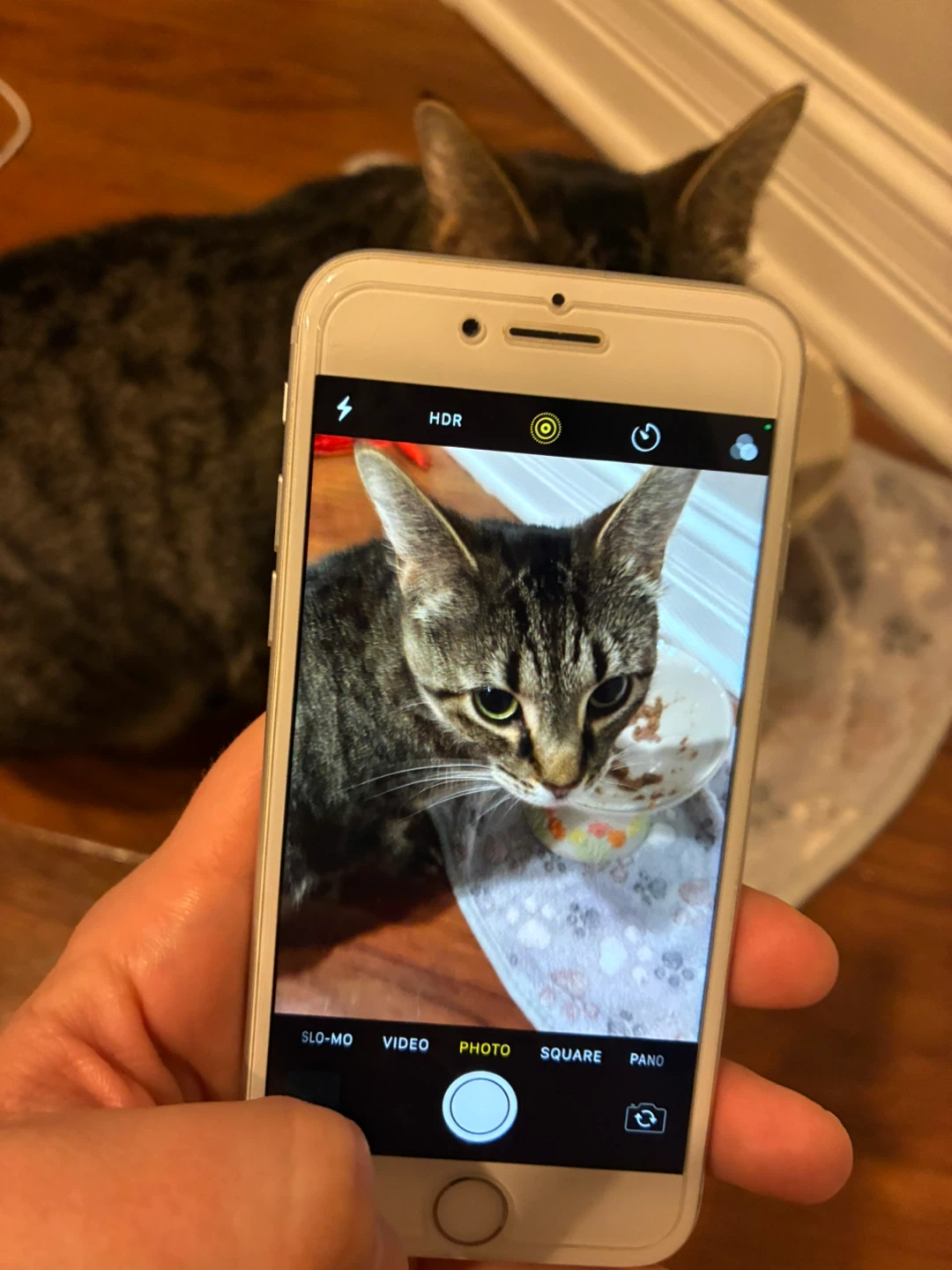Apple iPhone 7 - 128GB - Silver - photo 3