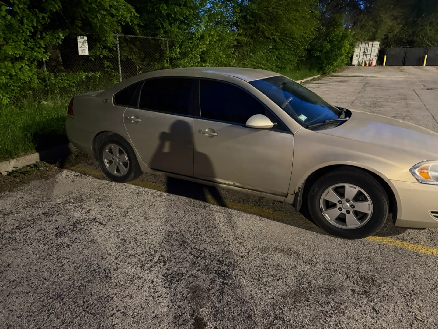 Gold Impala - photo 3