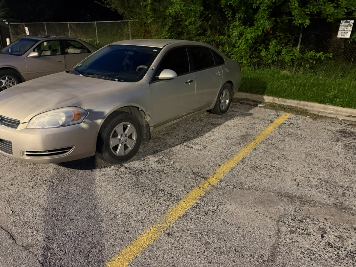 Gold Impala - photo 4