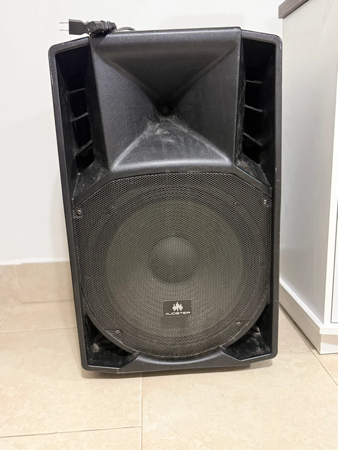 Audster PA Speaker