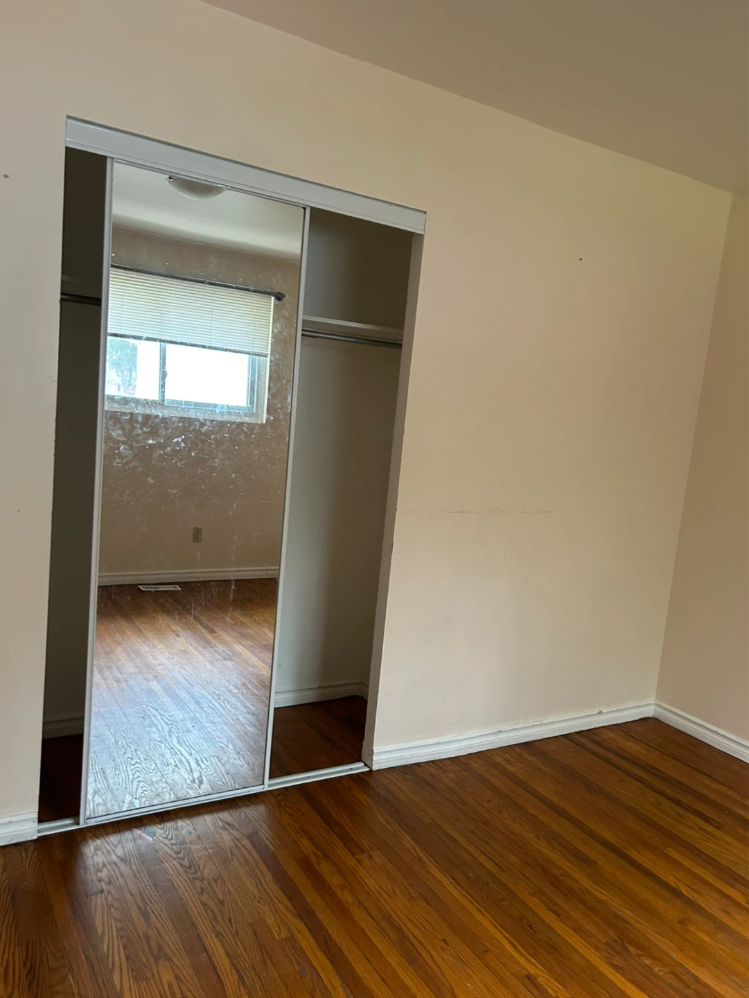 3 bedrooms house for rent - photo 4