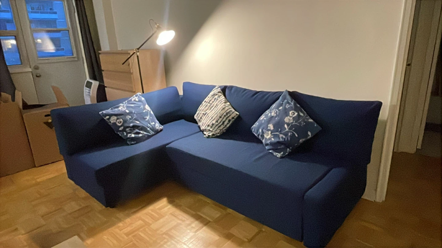 FRIHETEN / KLAGSHAMN Ikea SOFA - photo 3