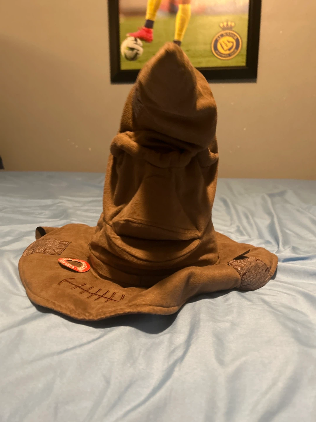 Harry Potter sorting hat that talks