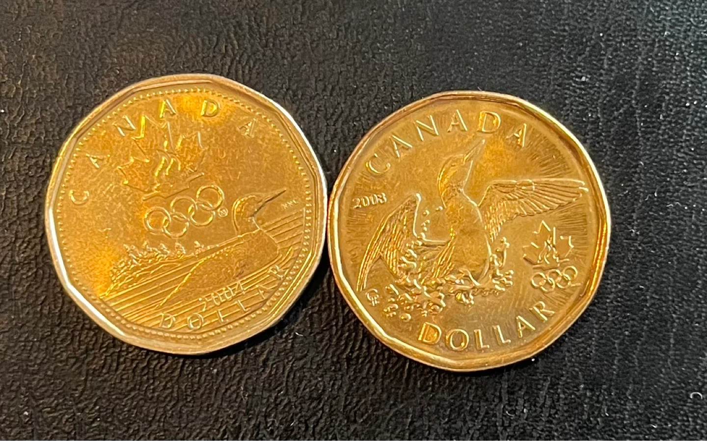 2 x Canadian Loonie Dollar Coins 2008