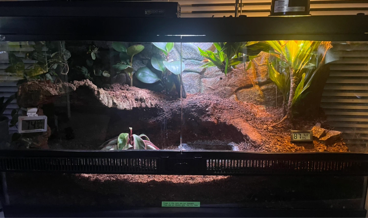 Reptile Terrarium