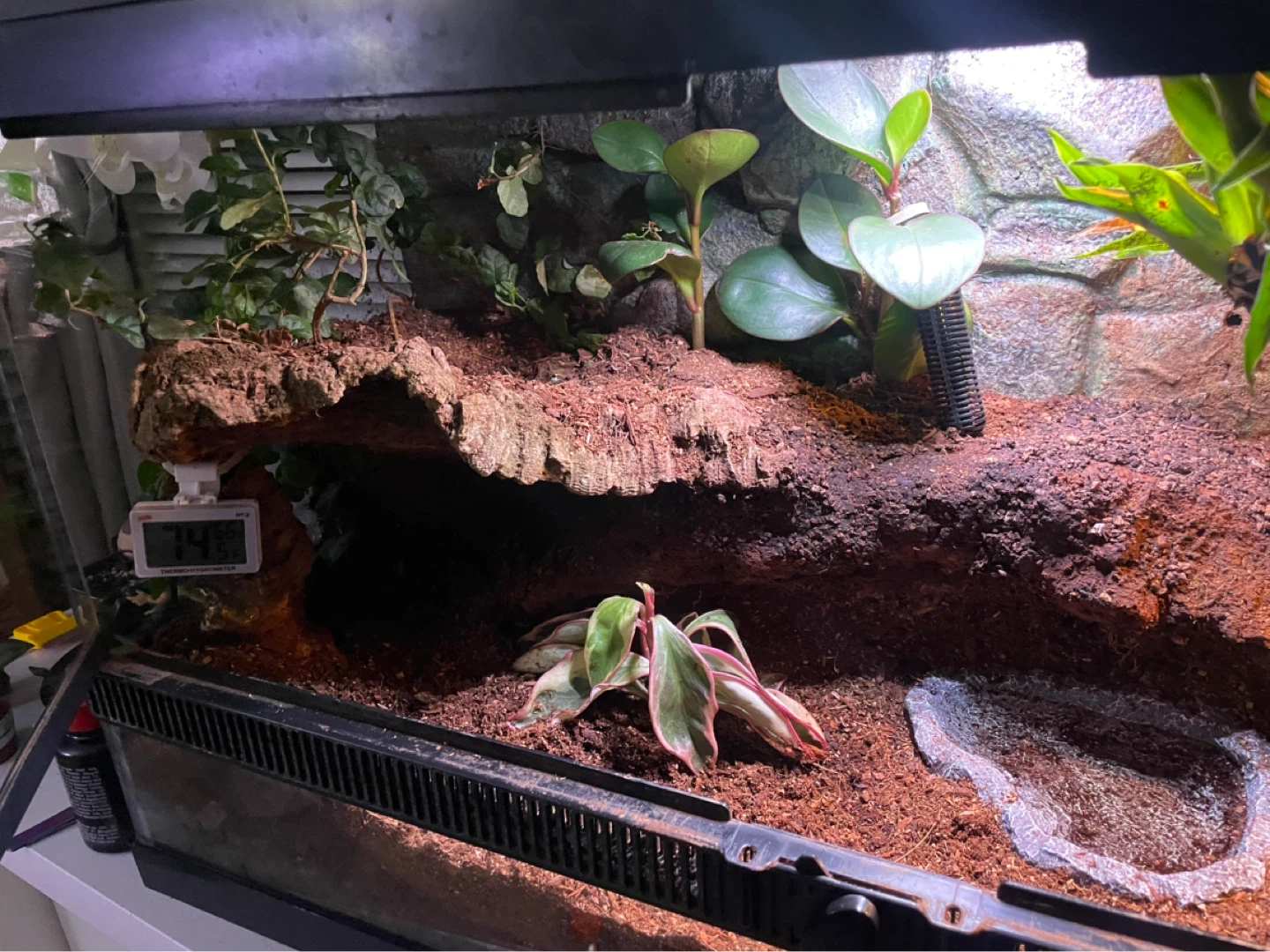 Reptile Terrarium - photo 2