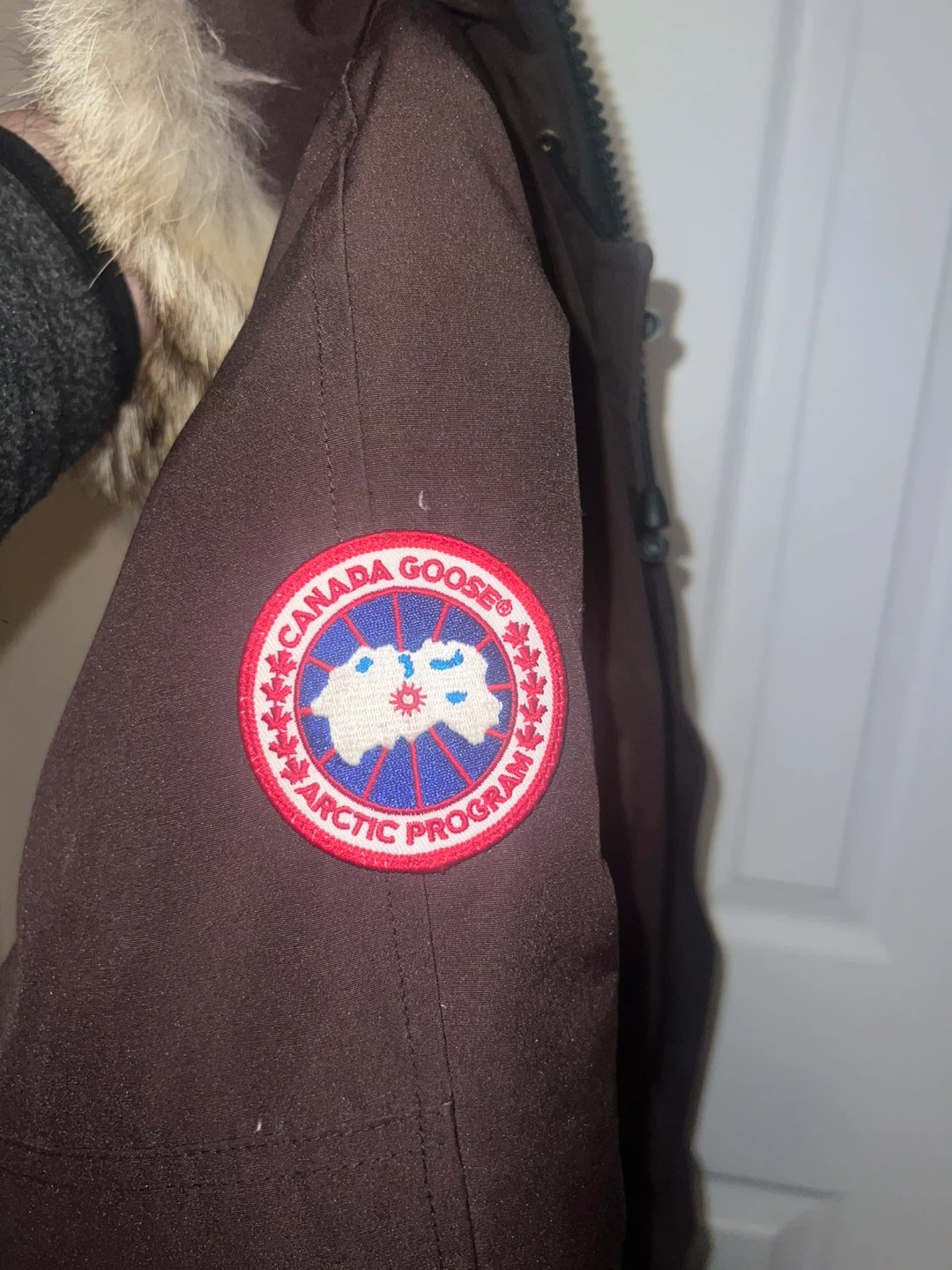 Negotiable - Canada Goose Bomber Jacket - Brown - photo 4