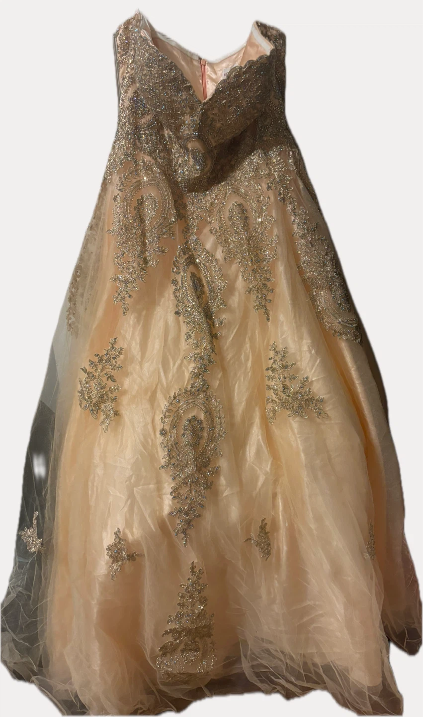 EJS Couture Beaded Prom Dress Size 22