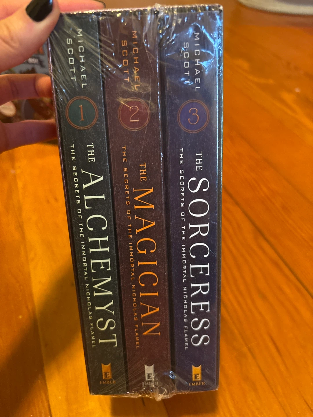 The Secrets of the Immortal Nicholas Flamel Books 1-3 Box Set - photo 3