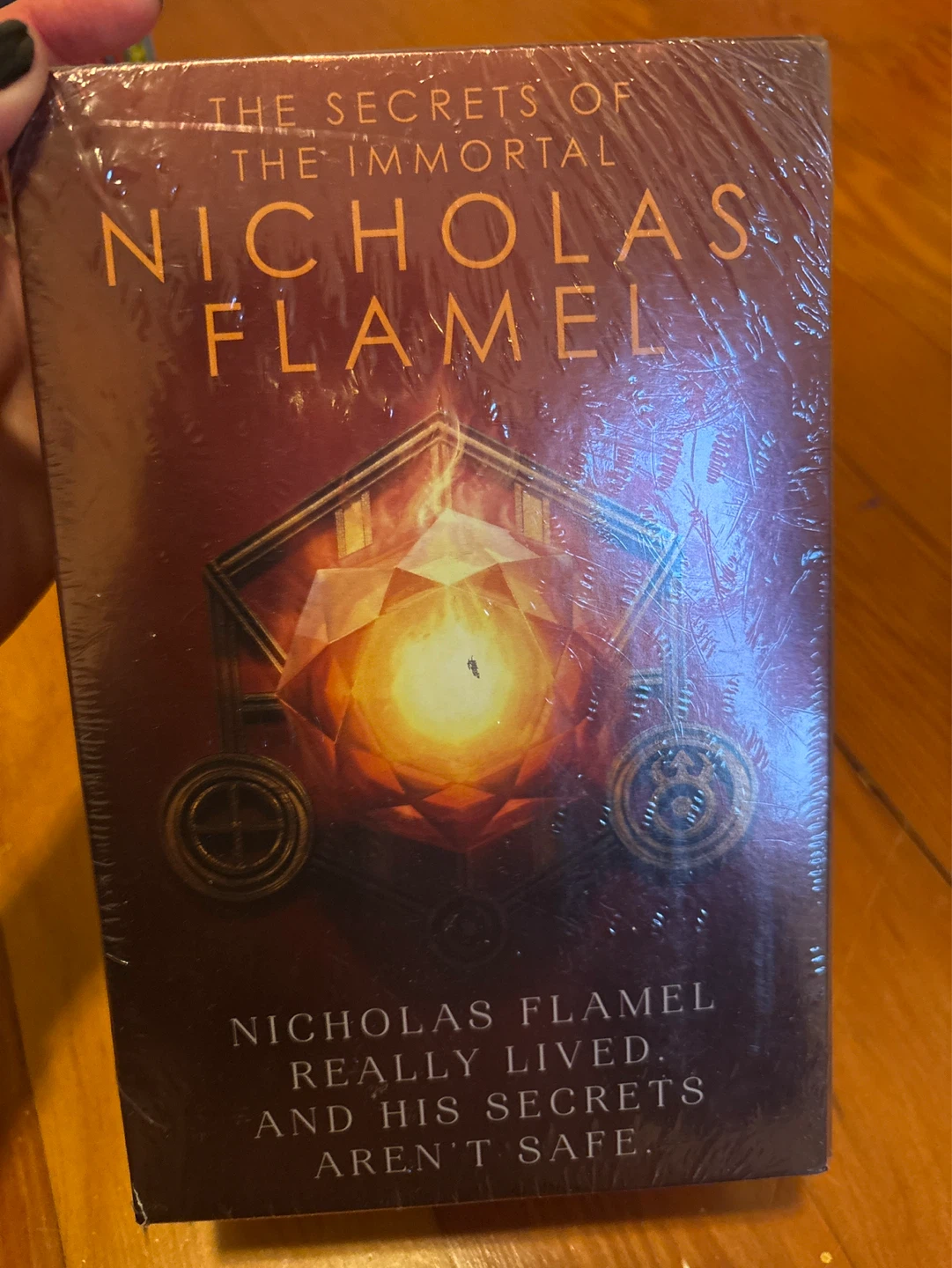 The Secrets of the Immortal Nicholas Flamel Books 1-3 Box Set - photo 2