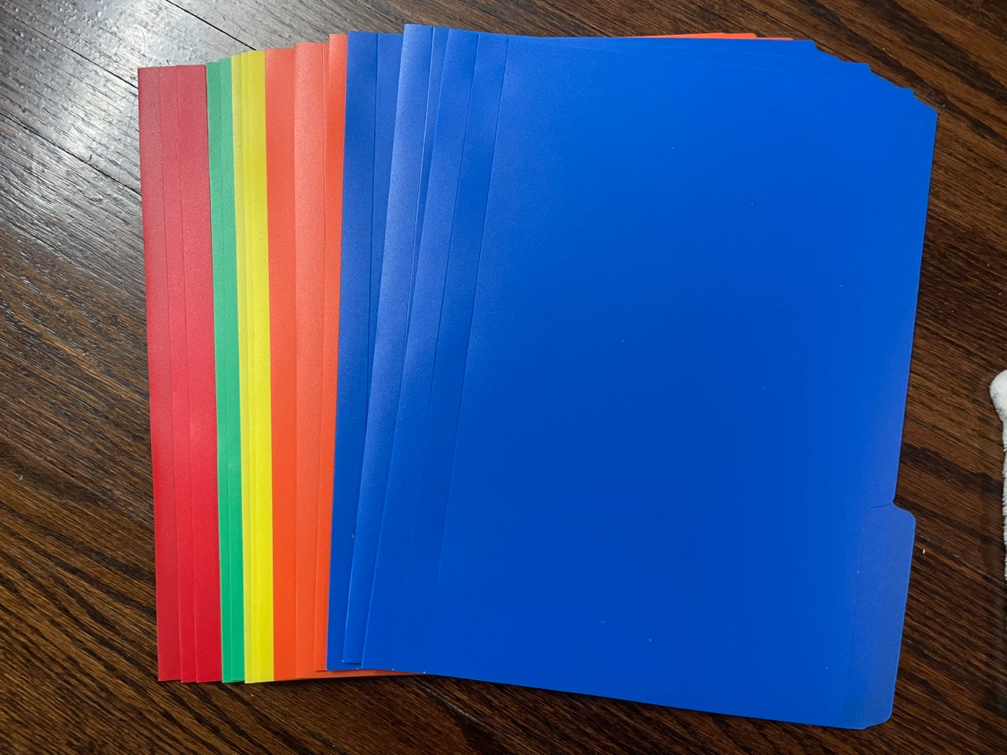 18 Pack Plastic File Folders