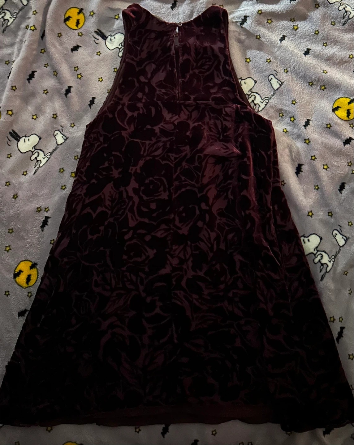 Velvet Rose Burnout Dress - photo 2