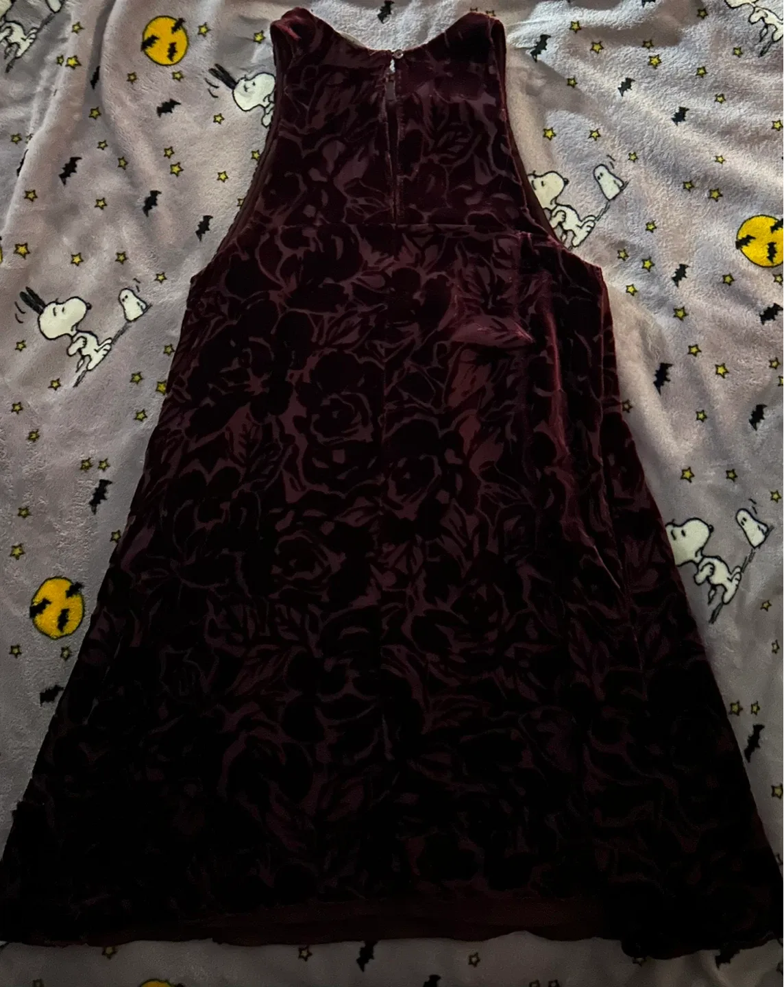 Velvet Rose Burnout Dress - photo 2
