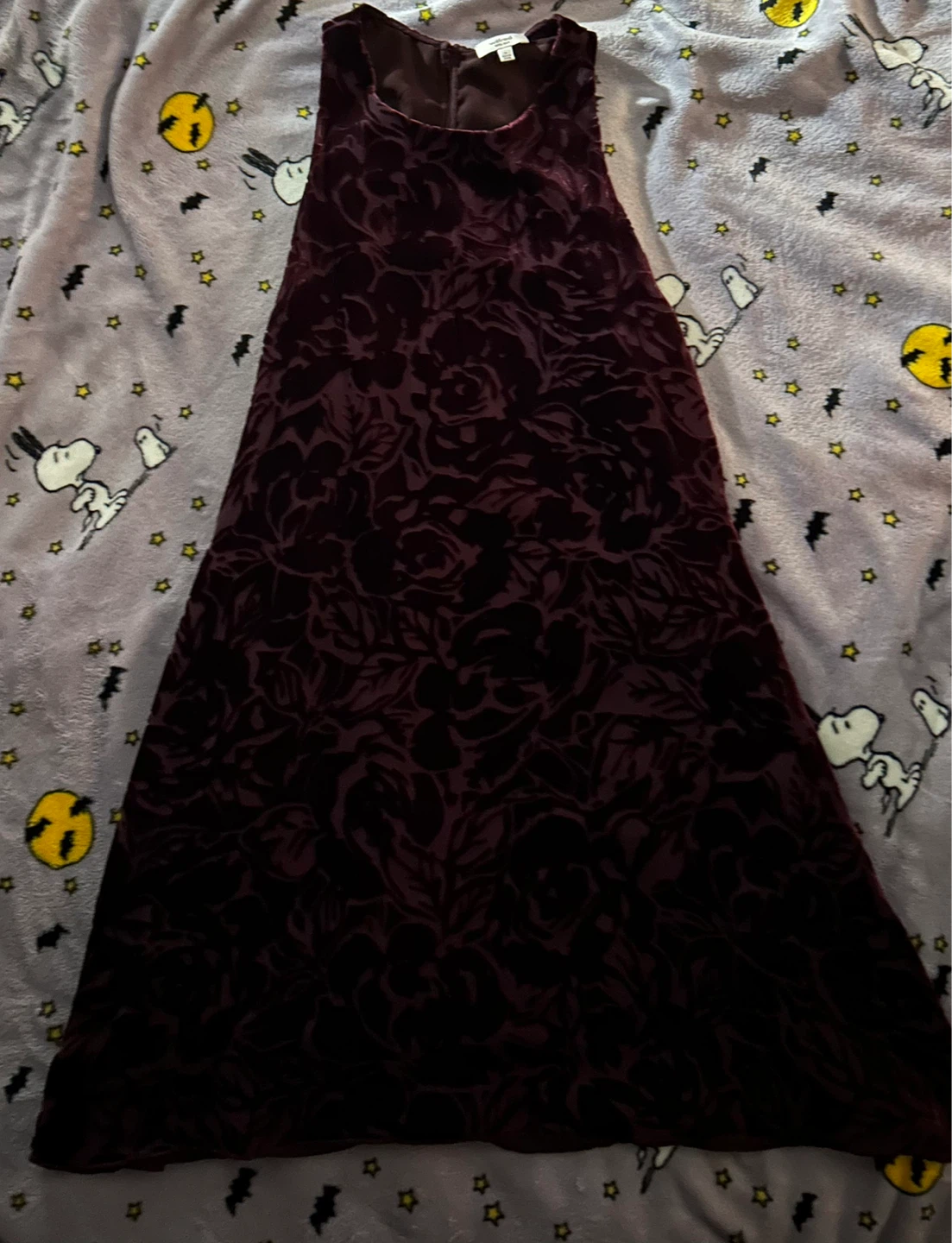 Velvet Rose Burnout Dress